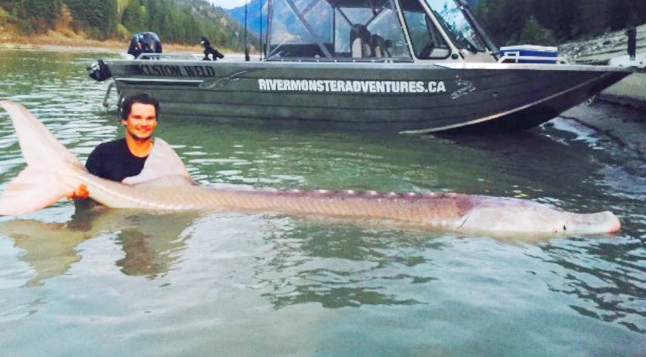 Teen Called A Hero After Catching 650lb Legendary Fish In River ...